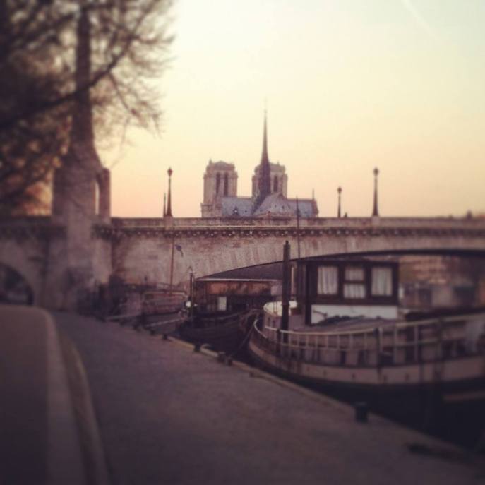 11874739_10206725580690344_378273323_o