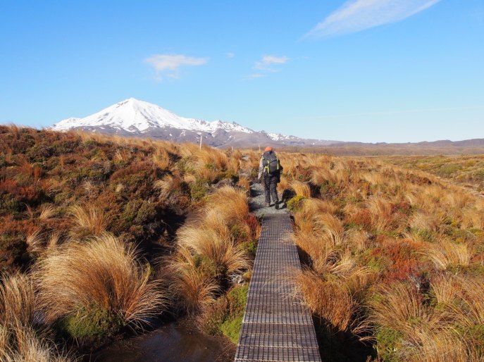 11879809_10206725584010427_1136930970_o